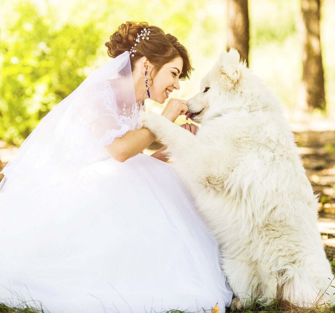 Paw-Some Weddings: How to Include Pets - TheirBigDay